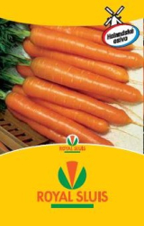 Mrkva skor�, Carvora F1, 1 g