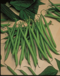 Fazu�a zelenostruk� Paulista/Excalibur F1, 40g