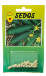 Uhorka siata �al�tov�, Linda F1, 20 semien